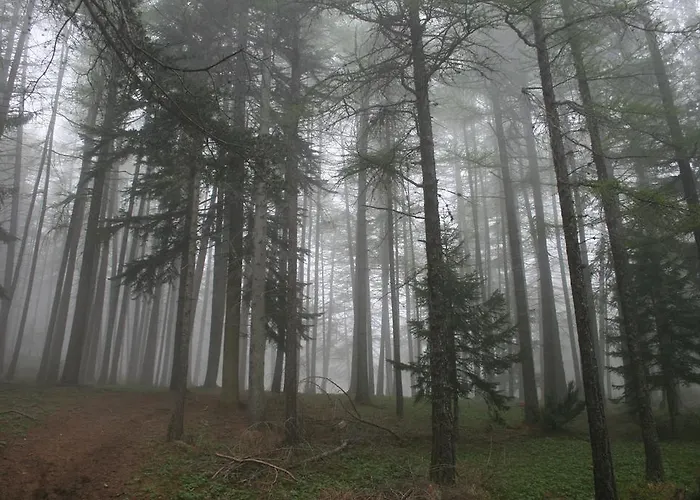 1504 Casa de hóspedes 3*